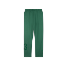 Load image into Gallery viewer, FLEECE PANTS GREEN STONE
